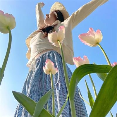 若如初见封面